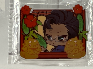 Yakuza / Ryu Ga Gotoku – Okinawa Hibiscus & Shisa Acrylic Keychain – Chibi Character Art – New